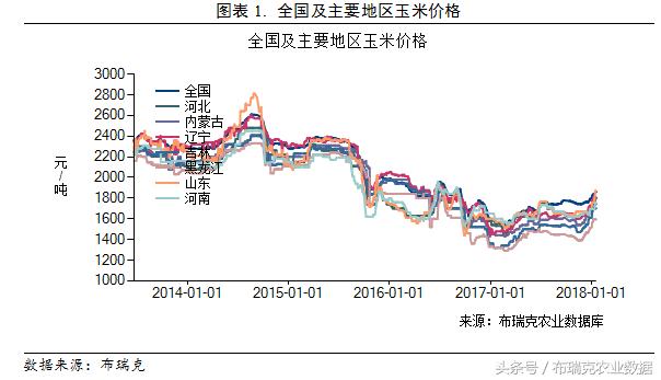 今玉米最新价格